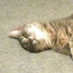 TheCrow Gaming Profile Picture