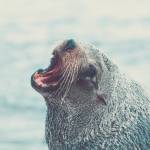 Deaa asdfasdf Profile Picture