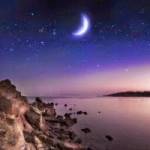 Filex Alexander Profile Picture