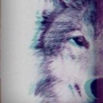 Elin Sy Profile Picture