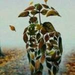 indra mapex Profile Picture