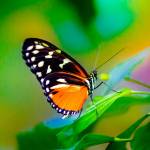 userdemo userdemo Profile Picture