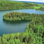 Cemil KIYAK Profile Picture