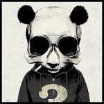 Louis Profile Picture