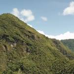 cool cool Profile Picture