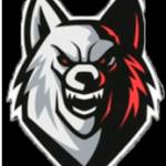 arnau Pugehl Profile Picture