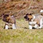 jordany Ngoman Profile Picture