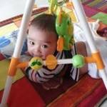 Công Thuần Tân Vĩnh Profile Picture