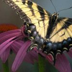 admin8 Profile Picture