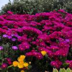 Unikapps 01 Profile Picture