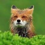 stalkon stalkon Profile Picture