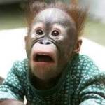 Torsten Kruse Profile Picture