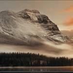 Alexander S profile picture