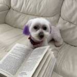 Danylo Dedyshyn Profile Picture