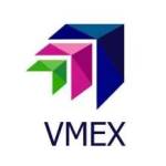VMEX VMEX123 Profile Picture