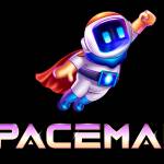 Данил Попов Profile Picture