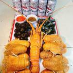 Bunny Lung Profile Picture