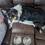 Richard Krawecki Profile Picture