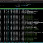 Rafael Lins Profile Picture