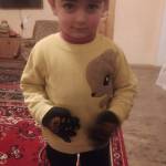 Paşa Taib Profile Picture