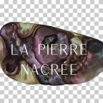 fabien marie Profile Picture