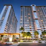 majestique Evolvus Profile Picture