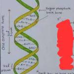 Jdjd Hehe Profile Picture