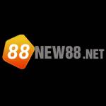 88new 88net Profile Picture