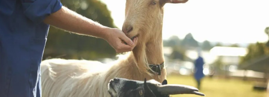 factory farms Cover Image