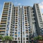 Dynamix Luma Profile Picture