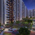 Joy Kharadi Profile Picture