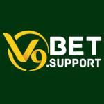 v9bet support Profile Picture
