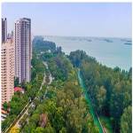 Meyer Blue Profile Picture