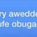 dddfzf gdzx cb Profile Picture