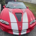 Josh Tayor Profile Picture