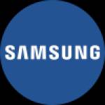 White Bhai Profile Picture