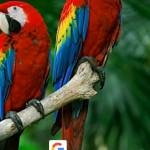 BIBHASH Motra Profile Picture