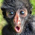 Hunama Mikalia Profile Picture