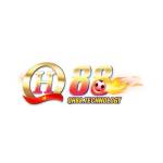 QH88 Technology Profile Picture