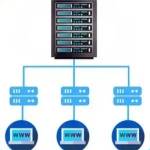 paulo pereira Profile Picture