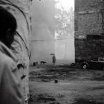 savian kamuela Profile Picture