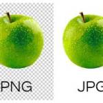 John Smith Profile Picture