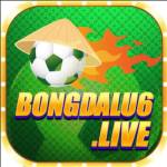 bongdalu live1 Profile Picture
