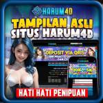 Harum4d Situs ingcom Profile Picture