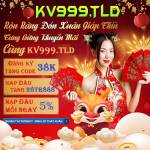 kv999 ltd Profile Picture