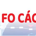 chien chien Profile Picture