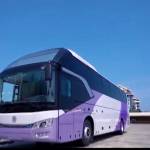 Sol Fur Profile Picture