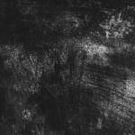 David LedekcĂ˝ Profile Picture