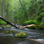 suresh patel Profile Picture