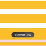 SASSA Status Check Profile Picture